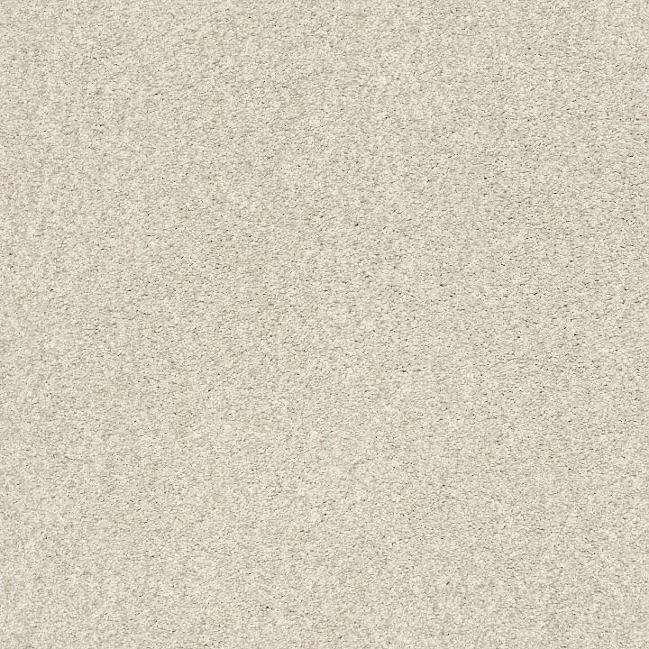 Shaw Floors Tonal Comfort Blue — Homemade Ice Cream · 5E658-00124 — flooring selection with LeviArs Design & Remodeling