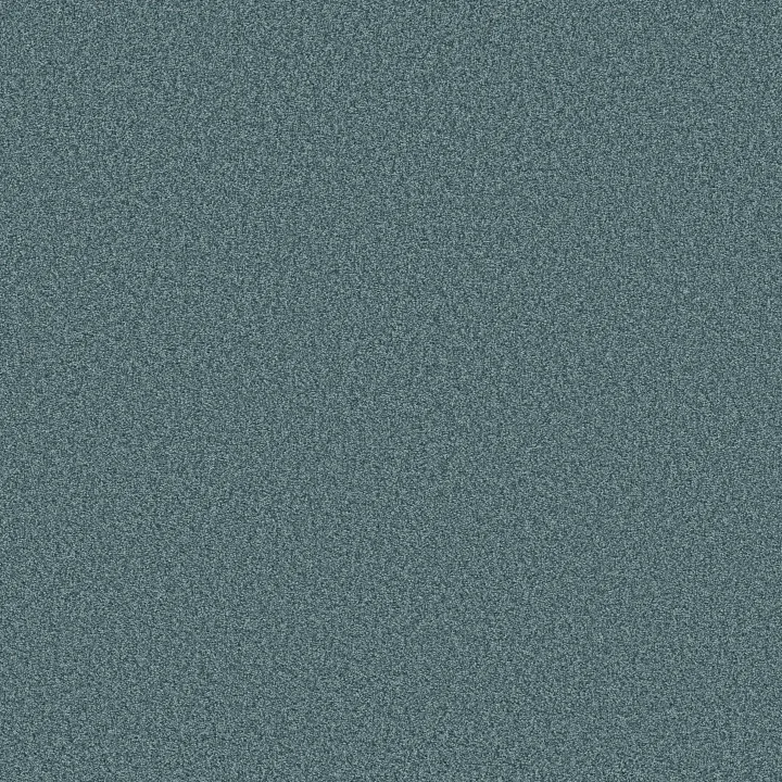 Shaw Floors Tonal Comfort II — Life Of The Party · 5E657-00423 — flooring selection with LeviArs Design & Remodeling