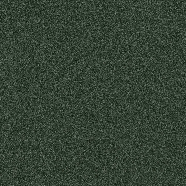 Shaw Floors Tonal Comfort II — Magnolia Branch · 5E657-00322 — flooring selection with LeviArs Design & Remodeling