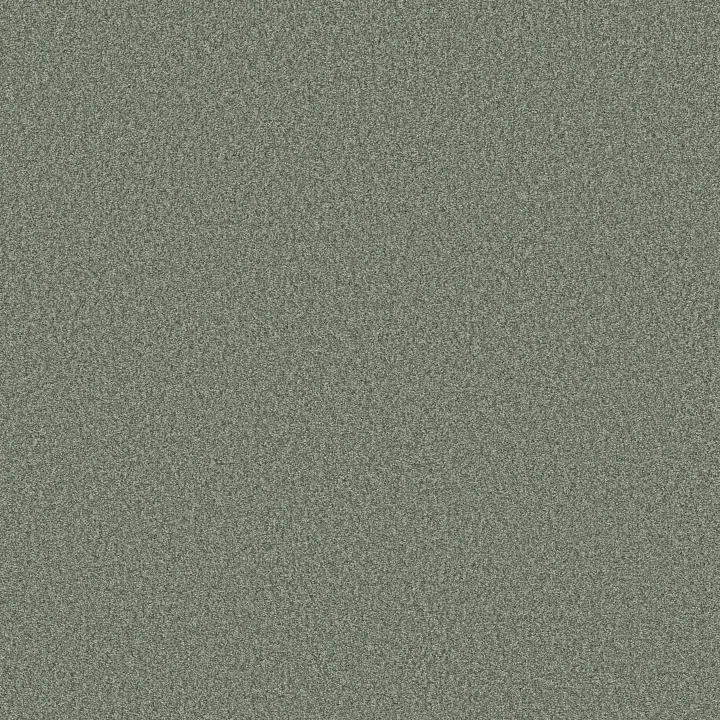 Shaw Floors Tonal Comfort Blue — Meadow · 5E658-00328 — flooring selection with LeviArs Design & Remodeling