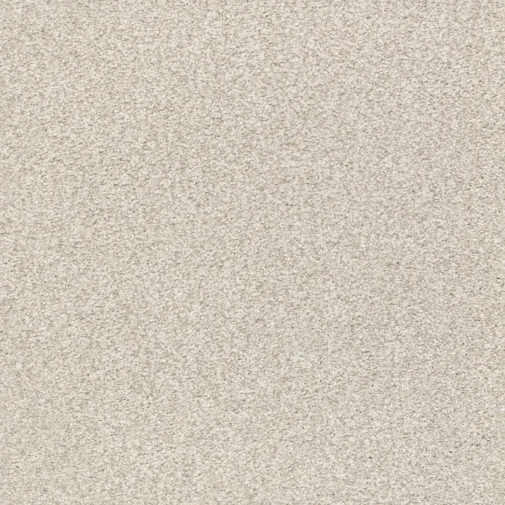 Shaw Floors Tonal Comfort Blue — Need A Hug · 5E658-00129 — flooring selection with LeviArs Design & Remodeling