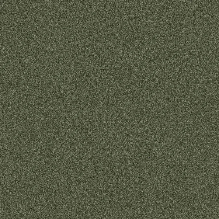 Shaw Floors Tonal Comfort II — Olive Grove · 5E657-00323 — flooring selection with LeviArs Design & Remodeling