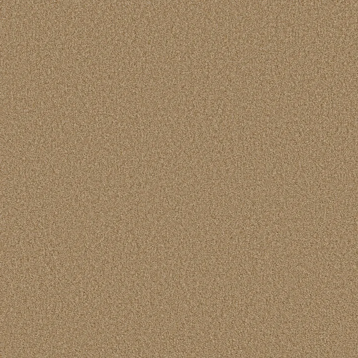 Shaw Floors Tonal Comfort II — Pasta Recipe · 5E657-00225 — flooring selection with LeviArs Design & Remodeling