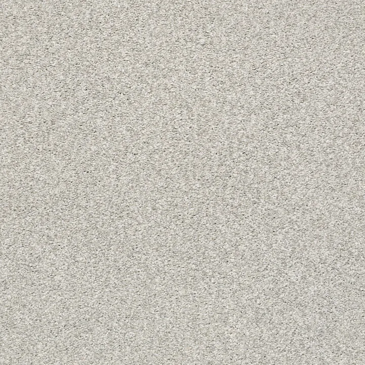 Shaw Floors Tonal Comfort Blue — Quiet Time · 5E658-00514 — flooring selection with LeviArs Design & Remodeling