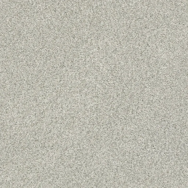 Shaw Floors Tonal Comfort Blue — Refreshed · 5E658-00515 — flooring selection with LeviArs Design & Remodeling