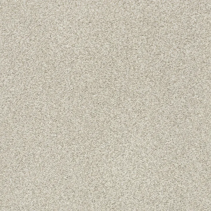 Shaw Floors Tonal Comfort Blue — Sand Castle · 5E658-00127 — flooring selection with LeviArs Design & Remodeling