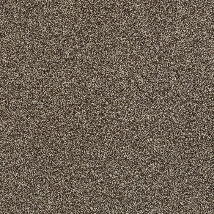 Shaw Floors Tonal Comfort Blue — Summer House · 5E658-00708 — flooring selection with LeviArs Design & Remodeling