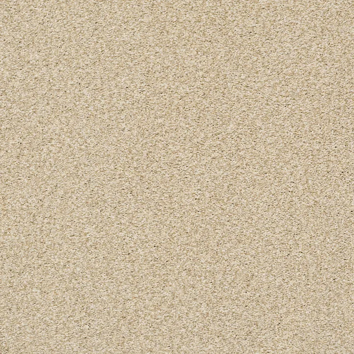 Shaw Floors Tonal Comfort Blue — Sun Kissed · 5E658-00110 — flooring selection with LeviArs Design & Remodeling