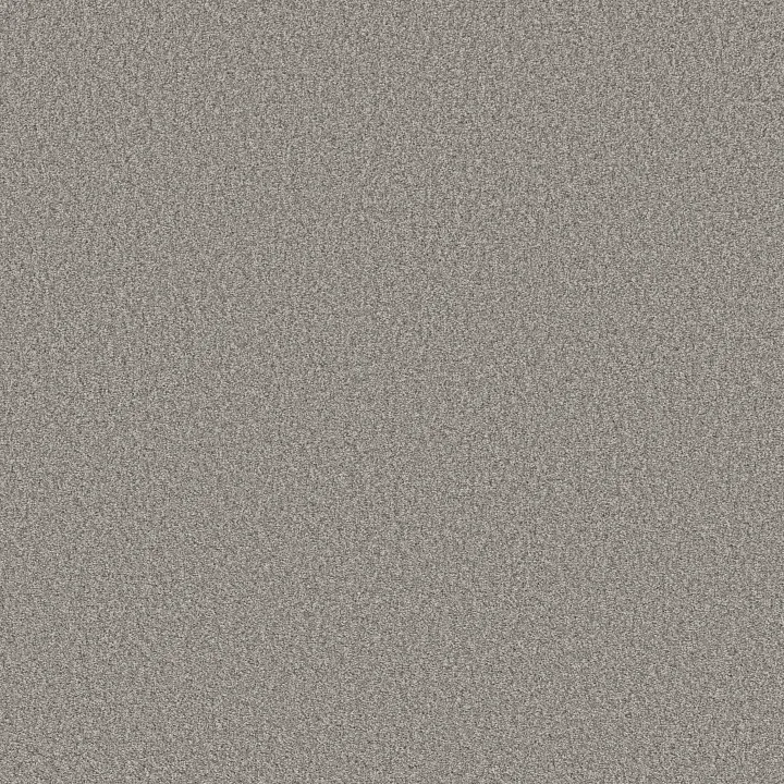 Shaw Floors Tonal Comfort Blue — Sunday Stroll · 5E658-00546 — flooring selection with LeviArs Design & Remodeling