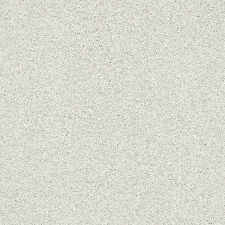 Shaw Floors Tonal Comfort Blue — Warm Blanket · 5E658-00114 — flooring selection with LeviArs Design & Remodeling