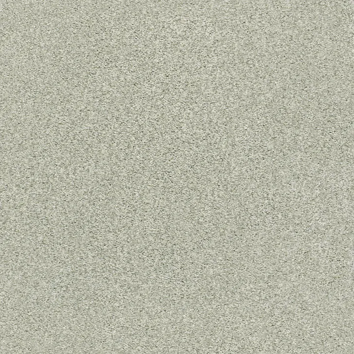 Shaw Floors Tonal Comfort Blue — Willow Tree · 5E658-00330 — flooring selection with LeviArs Design & Remodeling