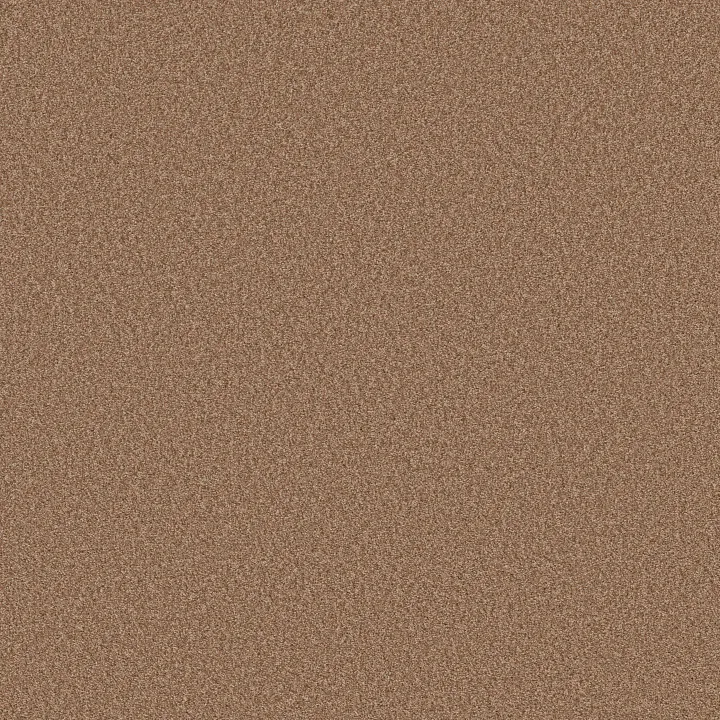 Shaw Floors Tonal Comfort II — Terracotta Pot · 5E657-00650 — flooring selection with LeviArs Design & Remodeling