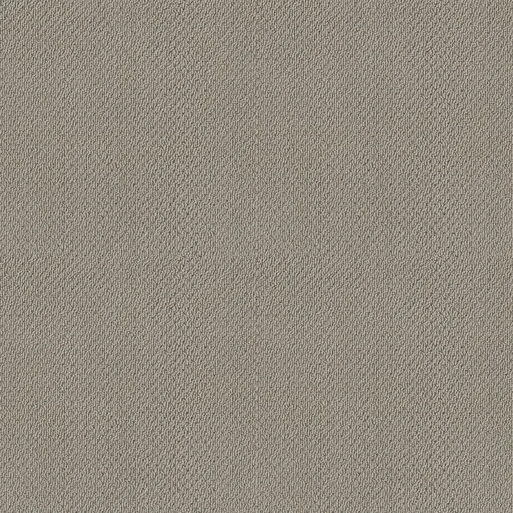 Shaw Floors Truly Relaxed Loop — Ash · E0657-00550 — flooring selection with LeviArs Design & Remodeling
