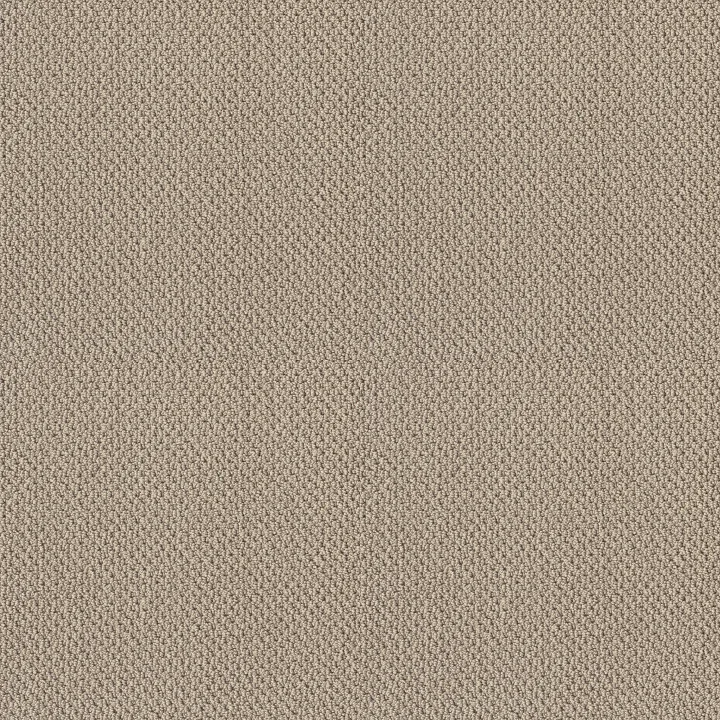 Shaw Floors Truly Relaxed Loop — Bare Essence · E0657-00151 — flooring selection with LeviArs Design & Remodeling