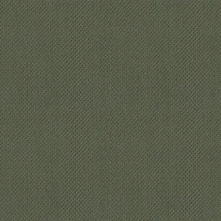 Shaw Floors Truly Relaxed Loop — Bay Laurel · E0657-00351 — flooring selection with LeviArs Design & Remodeling