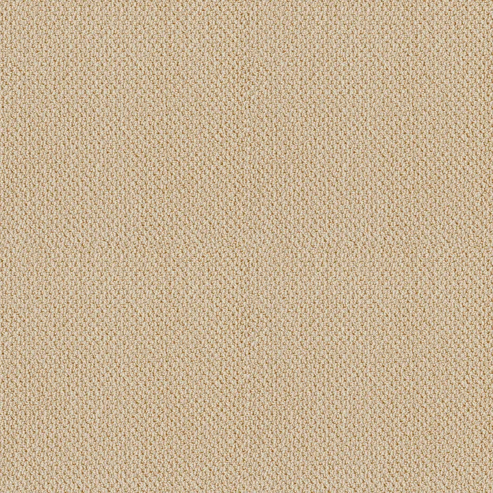 Shaw Floors Truly Relaxed Loop — Candlewick Glow · E0657-00101 — flooring selection with LeviArs Design & Remodeling