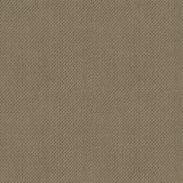Shaw Floors Truly Relaxed Loop — Cappuccino · E0657-00756 — flooring selection with LeviArs Design & Remodeling