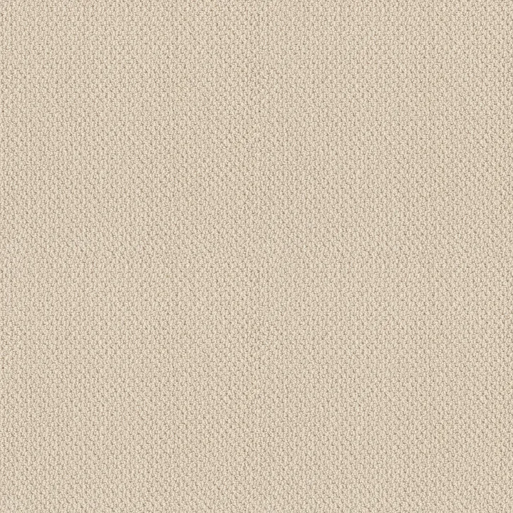 Shaw Floors Traditional Elegance — Ivory Lace · 52P13-00110 — flooring selection with LeviArs Design & Remodeling
