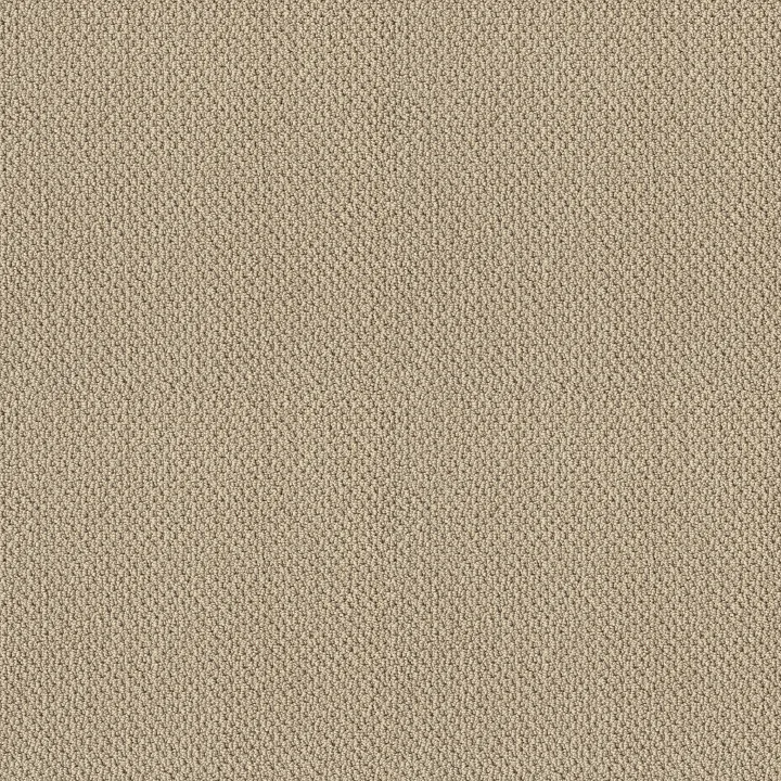 Shaw Floors Truly Relaxed Loop — French Linen · E0657-00103 — flooring selection with LeviArs Design & Remodeling