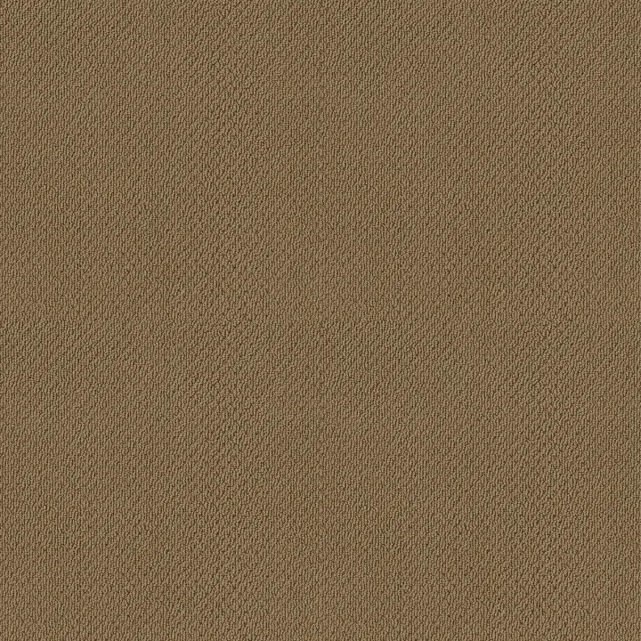 Shaw Floors Truly Relaxed Loop — Honey Pot · E0657-00722 — flooring selection with LeviArs Design & Remodeling