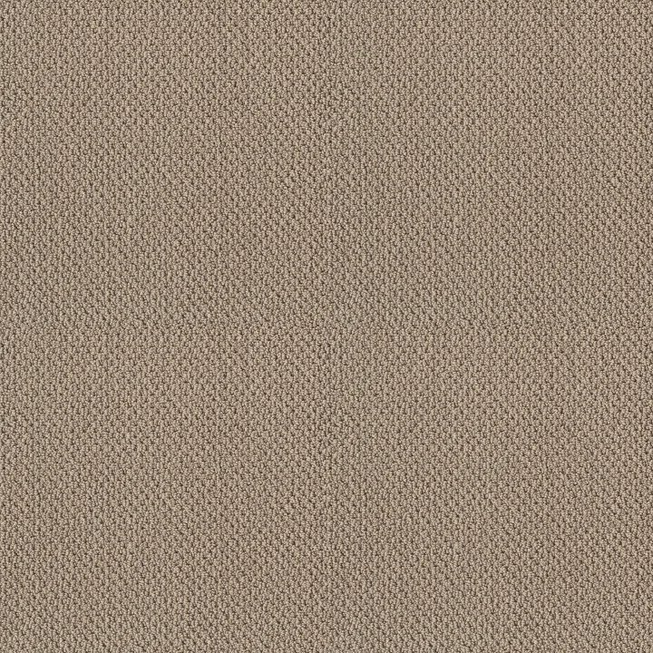 Shaw Floors Truly Relaxed Loop — Latta · E0657-00152 — flooring selection with LeviArs Design & Remodeling