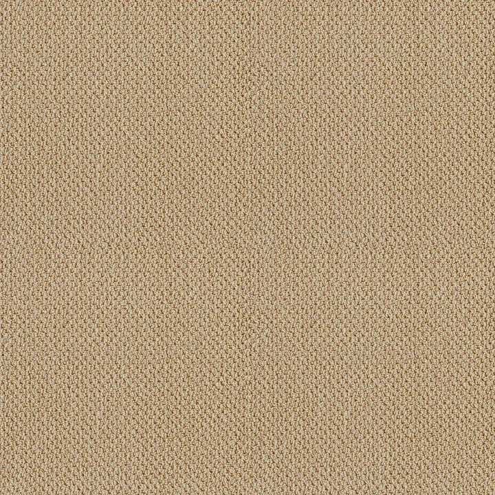 Shaw Floors Truly Relaxed Loop — Mesa · E0657-00105 — flooring selection with LeviArs Design & Remodeling