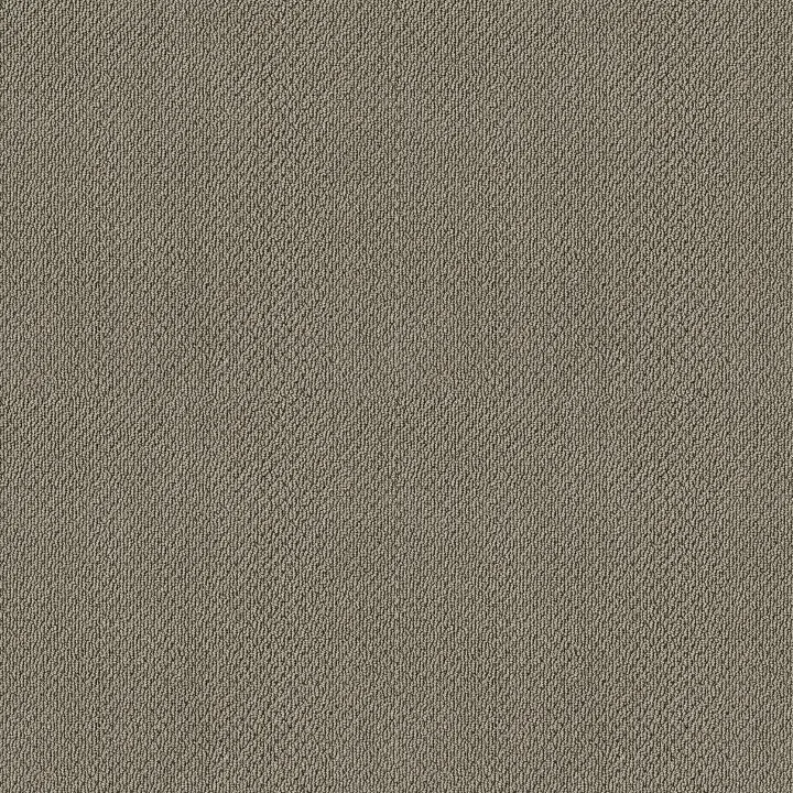 Shaw Floors Truly Relaxed Loop — Rocky Coast · E0657-00750 — flooring selection with LeviArs Design & Remodeling
