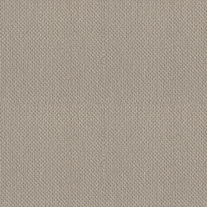 Shaw Floors Truly Relaxed Loop — Textured Canvas · E0657-00150 — flooring selection with LeviArs Design & Remodeling