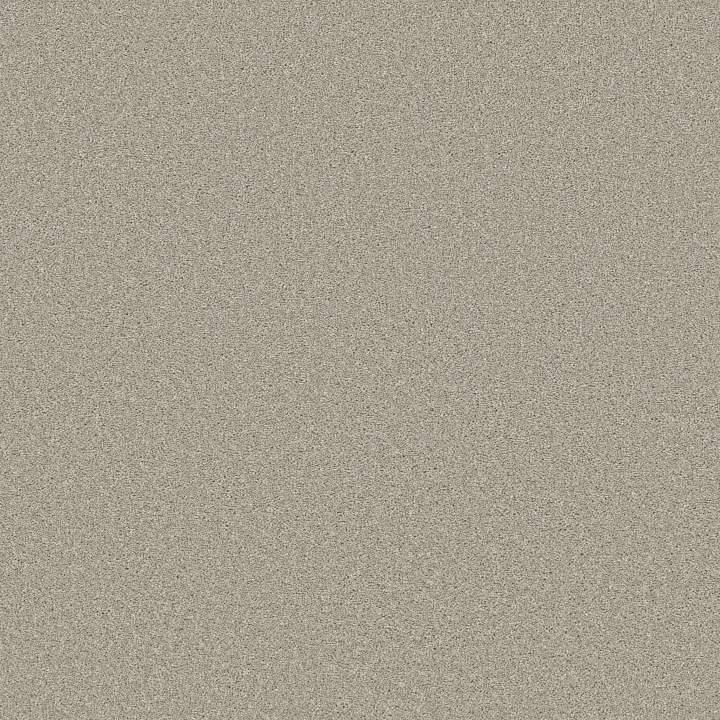 Shaw Floors Trusolutions I — Bleached Oak · 5E647-00108 — flooring selection with LeviArs Design & Remodeling