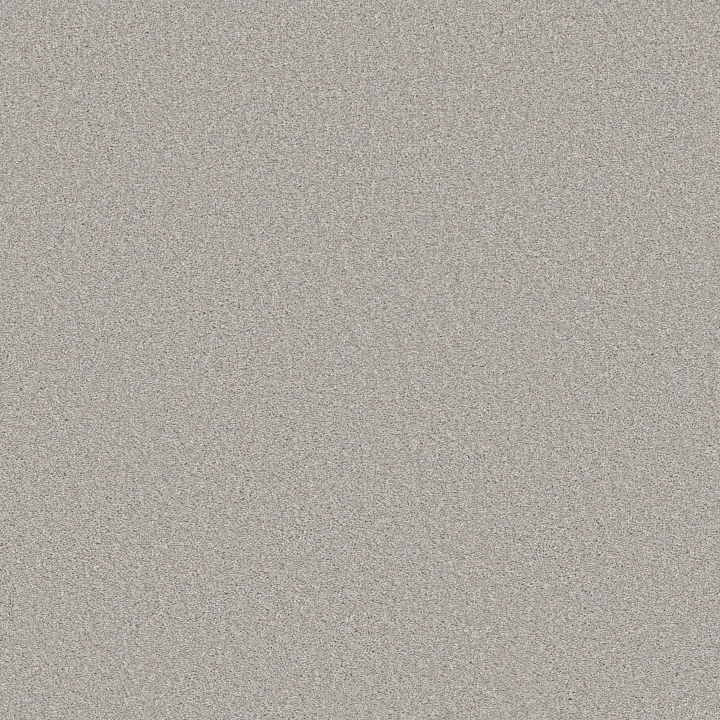 Shaw Floors Trusolutions I — Clear Sky · 5E647-00502 — flooring selection with LeviArs Design & Remodeling