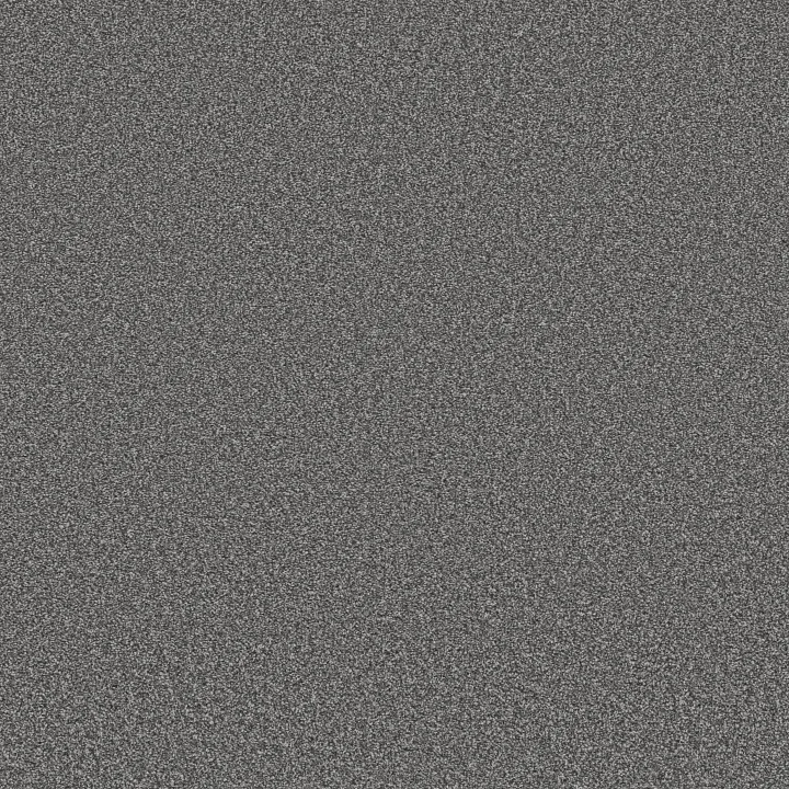 Shaw Floors Trusolutions I — Mercury · 5E647-00508 — flooring selection with LeviArs Design & Remodeling
