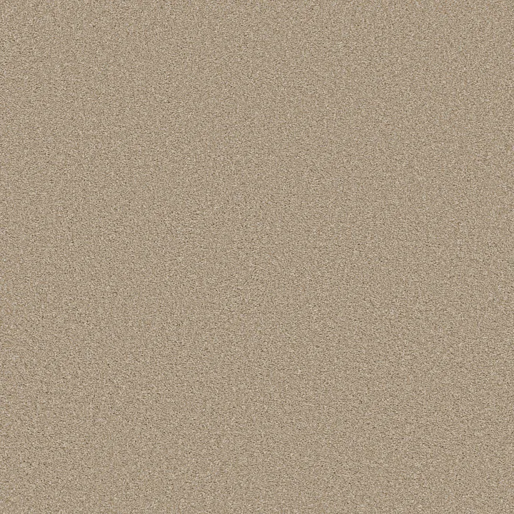 Shaw Floors Trusolutions I — Sheer Natural · 5E647-00110 — flooring selection with LeviArs Design & Remodeling