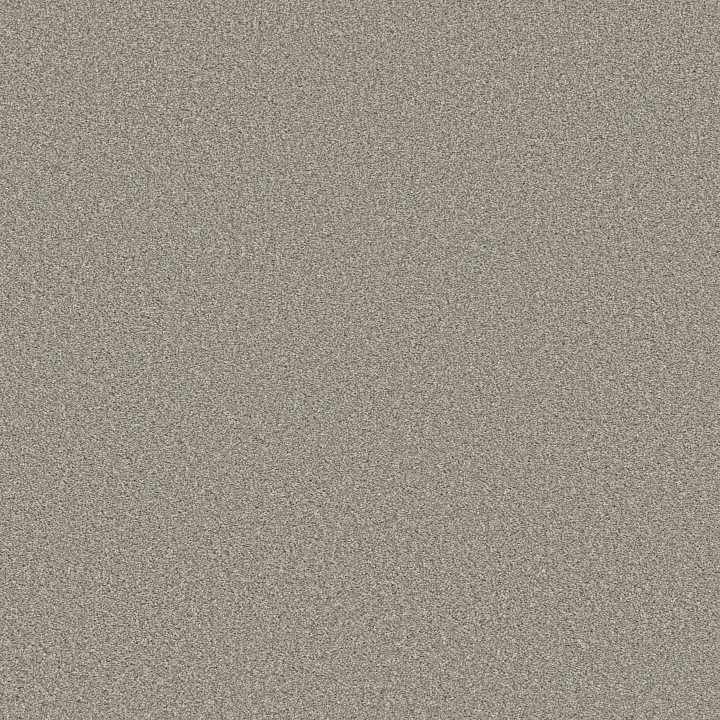 Shaw Floors Trusolutions I — Stone Path · 5E647-00505 — flooring selection with LeviArs Design & Remodeling