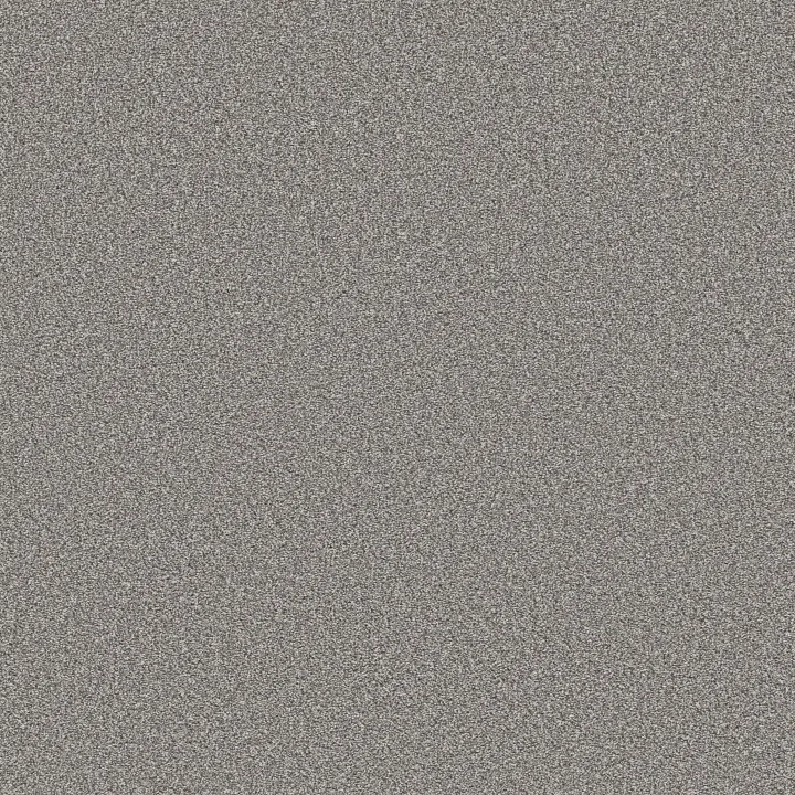 Shaw Floors Trusolutions I — Storm Cloud · 5E647-00506 — flooring selection with LeviArs Design & Remodeling