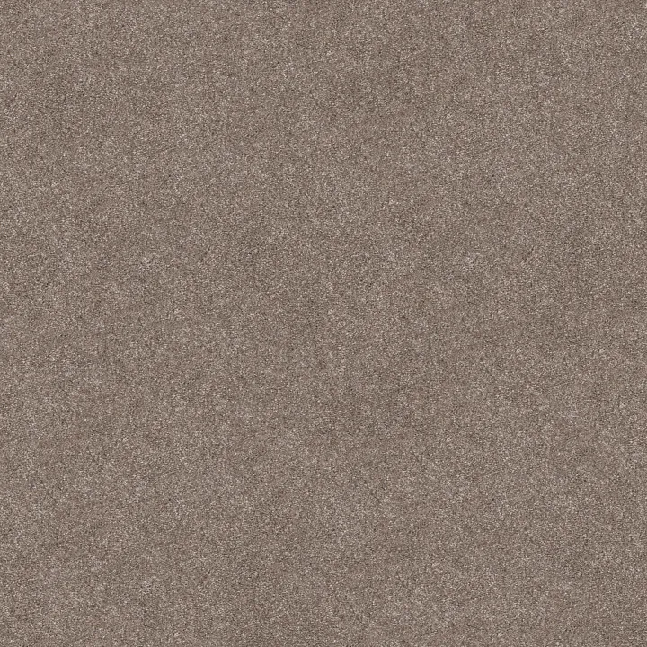 Shaw Floors Trusolutions III — Taupe Dream · 5E649-00705 — flooring selection with LeviArs Design & Remodeling