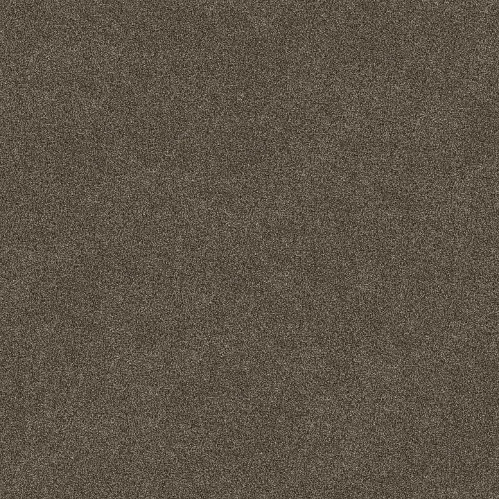 Shaw Floors TruSpirit I — Chestnut · 5E496-00707 — flooring selection with LeviArs Design & Remodeling