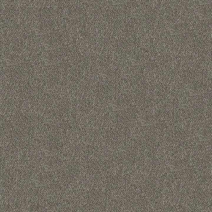 Shaw Floors TruSpirit I — City Scape · 5E496-00511 — flooring selection with LeviArs Design & Remodeling