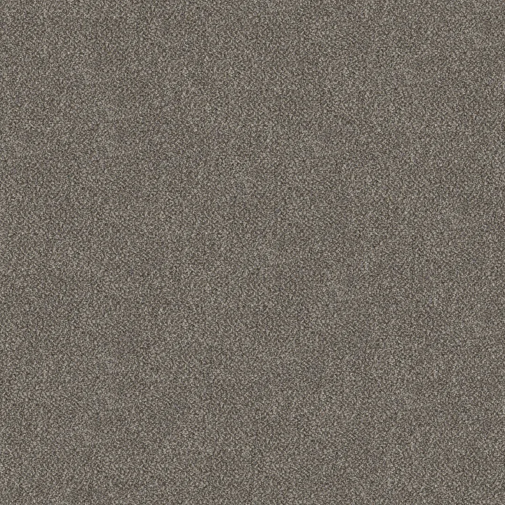Shaw Floors TruSpirit I — Cobble Drive · 5E496-00510 — flooring selection with LeviArs Design & Remodeling