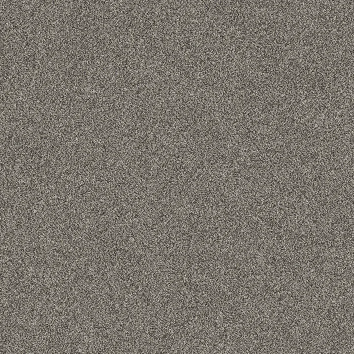 Shaw Floors TruSpirit I — Concrete · 5E496-00507 — flooring selection with LeviArs Design & Remodeling