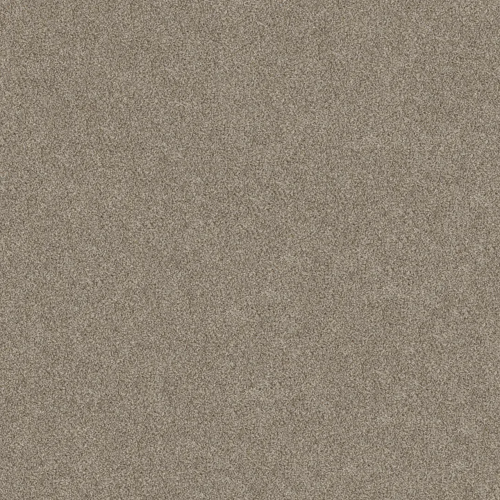 Shaw Floors TruSpirit I — Cottage · 5E496-00705 — flooring selection with LeviArs Design & Remodeling