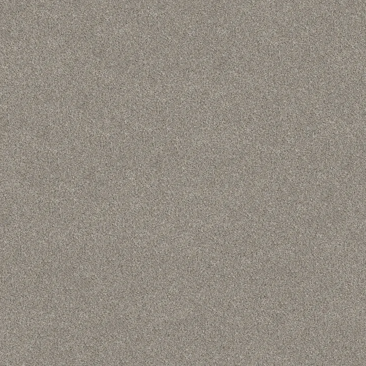 Shaw Floors TruSpirit I — Lady Liberty · 5E496-00502 — flooring selection with LeviArs Design & Remodeling