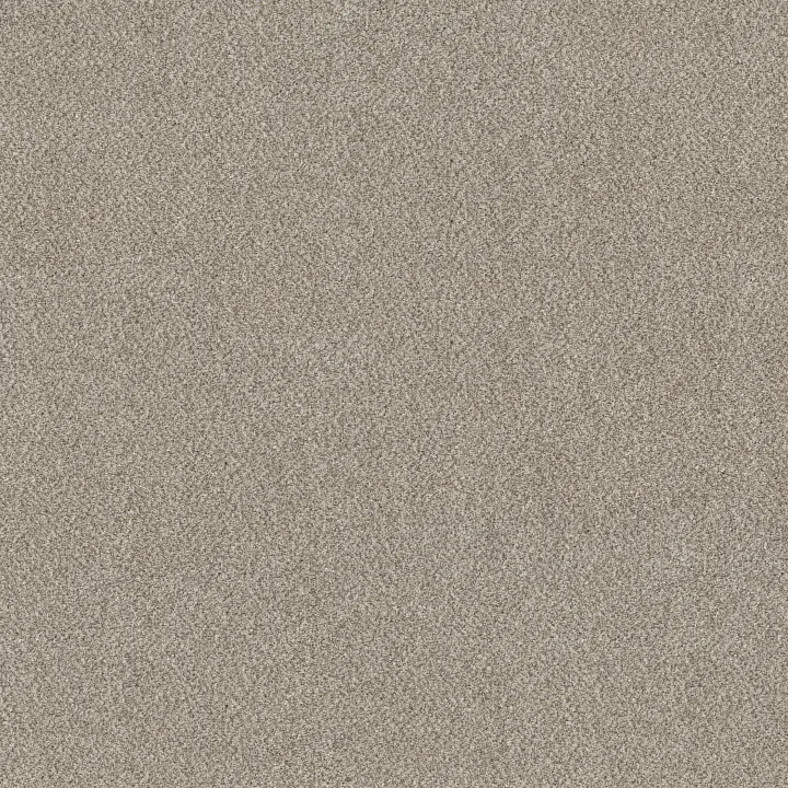 Shaw Floors TruSpirit I — Mist · 5E496-00103 — flooring selection with LeviArs Design & Remodeling
