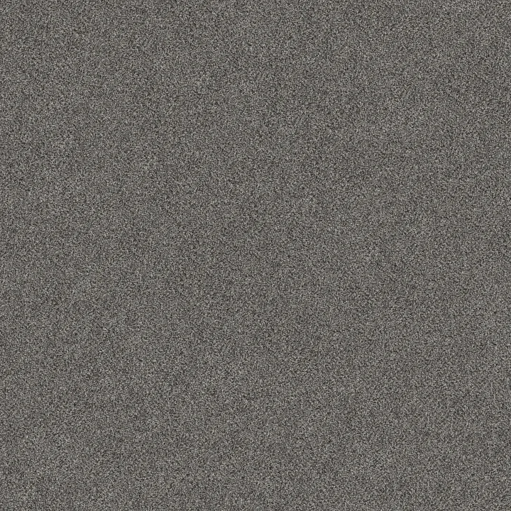 Shaw Floors TruSpirit I — Quarry · 5E496-00509 — flooring selection with LeviArs Design & Remodeling