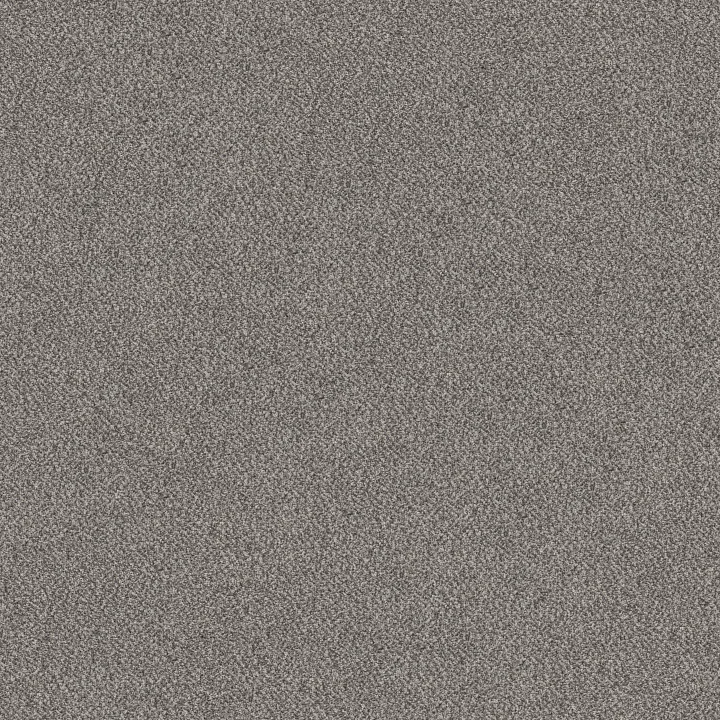 Shaw Floors TruSpirit I — Stainless · 5E496-00508 — flooring selection with LeviArs Design & Remodeling