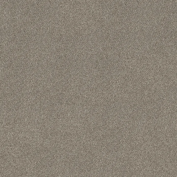 Shaw Floors TruSpirit I — Timeless Tan · 5E496-00704 — flooring selection with LeviArs Design & Remodeling
