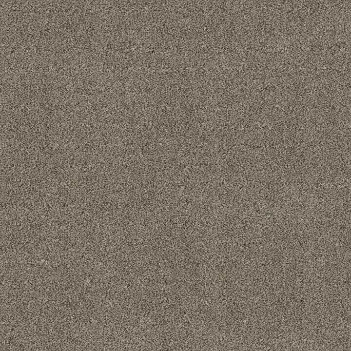Shaw Floors TruSpirit I — Truffle · 5E496-00701 — flooring selection with LeviArs Design & Remodeling