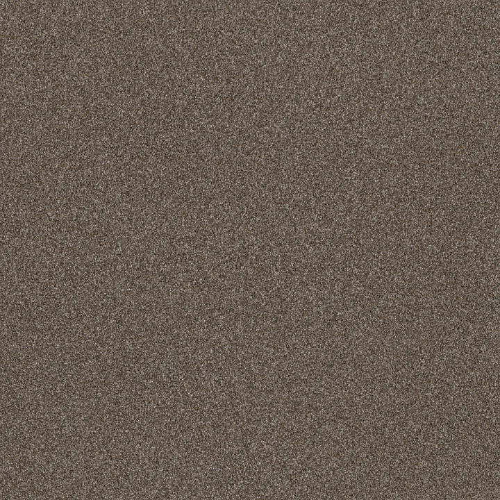 Shaw Floors TruSpirit II — City Scape · 5E497-00511 — flooring selection with LeviArs Design & Remodeling