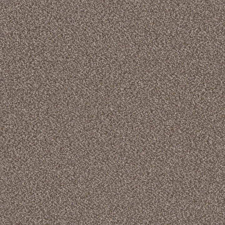 Shaw Floors TruSpirit II — Cobble Drive · 5E497-00510 — flooring selection with LeviArs Design & Remodeling