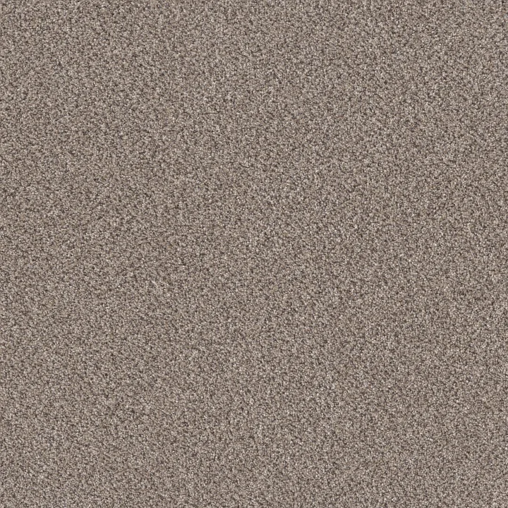 Shaw Floors TruSpirit II — Concrete · 5E497-00507 — flooring selection with LeviArs Design & Remodeling