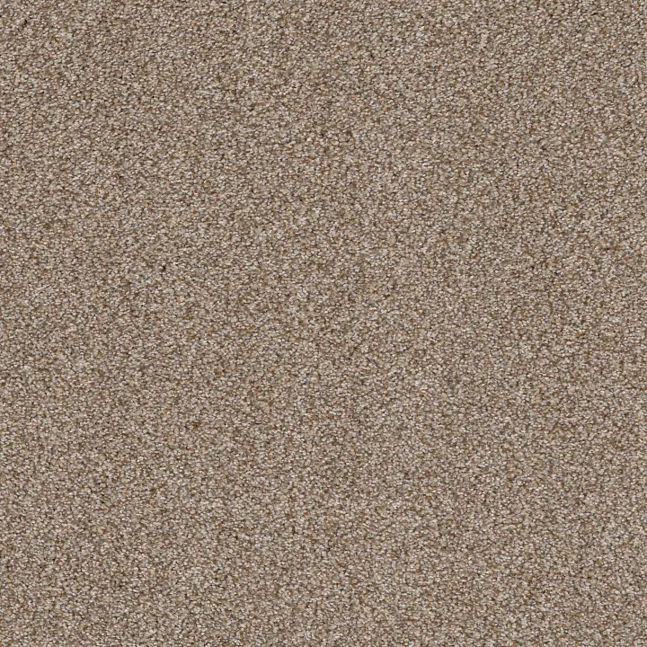 Shaw Floors TruSpirit II — Cottage · 5E497-00705 — flooring selection with LeviArs Design & Remodeling